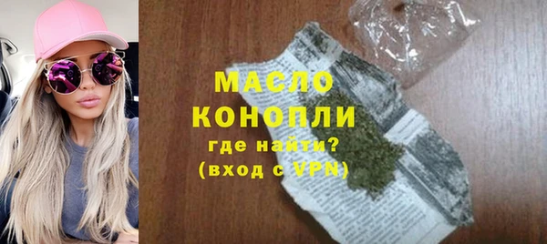индика Михайловск