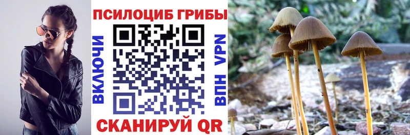 Галлюциногенные грибы мицелий Ржев