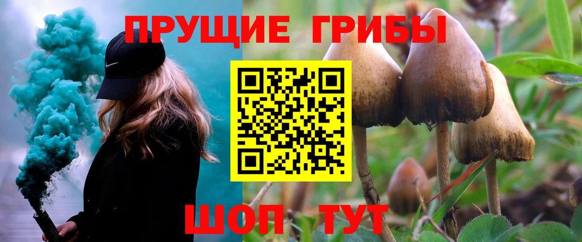 Ржев  Псилоцибиновые грибы Psilocybe  Вход с VPN 
