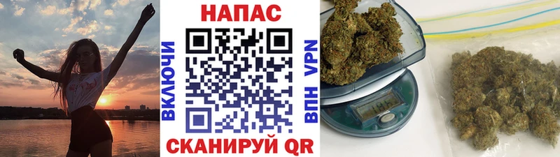 omg онион Ржев Марихуана семена